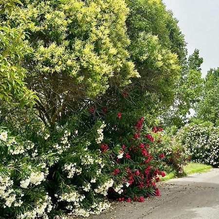 Marina di CerveteriCasa Mila White别墅 外观 照片